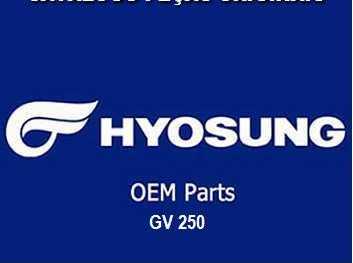 CATALOGO PE�AS GV 250