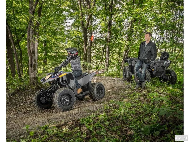 POLARIS PHOENIX 200 AVALANCHE GRAY