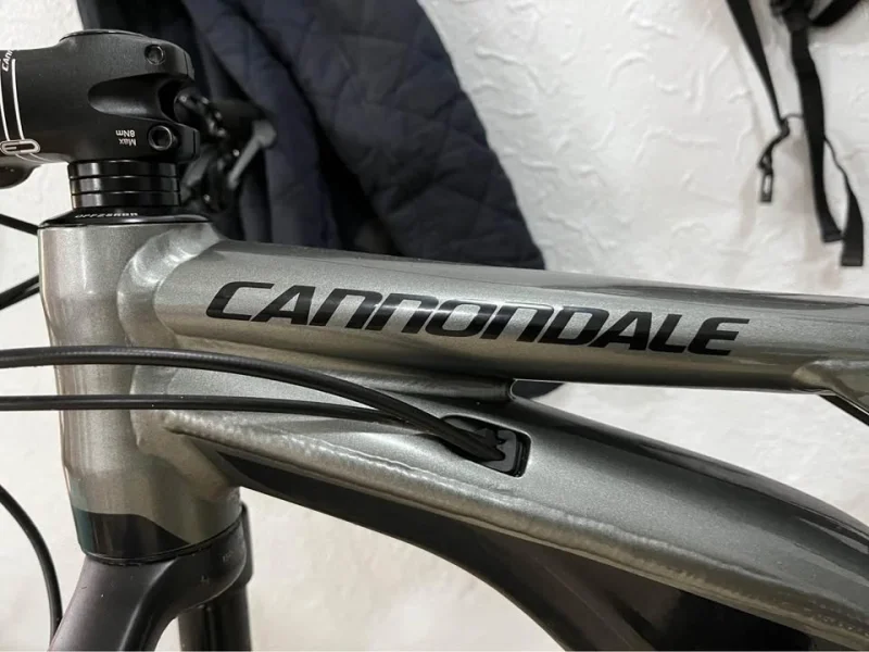 Bicicleta eléctrica Cannondale Moterra