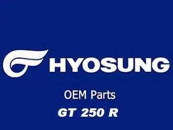 CATALOGO      PEÇAS GT250R 